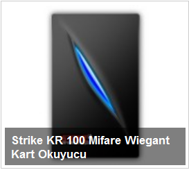 Strike KR 100 Mifare Wiegant Kart Okuyucu